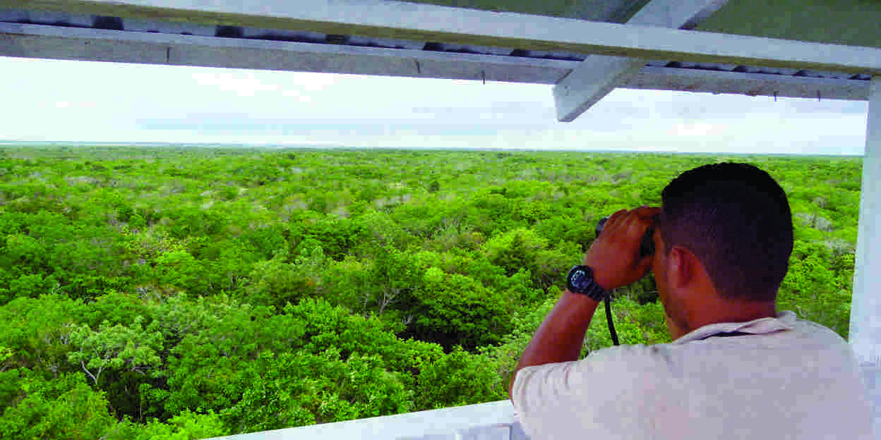 Nieuws uit Belize
