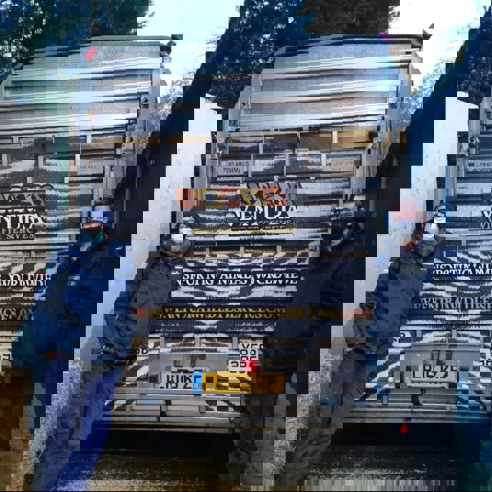 Verhuizing Bantengstier op de valreep