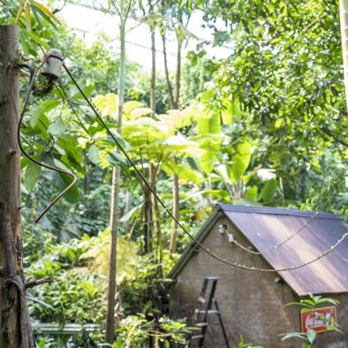 Bedreiging en bescherming