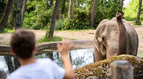 Beroepsgericht Groen onderwijs (MBO) en AD