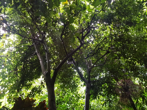 Bijzondere aanpassing aan de leefomgeving