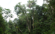 Harder trekken aan betrekkingen in Belize