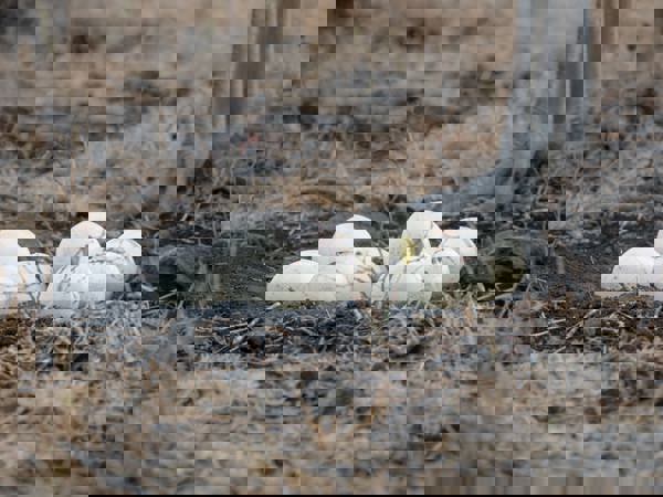 80d2964c-c5ac-48cd-8df7-795f24ede1e3