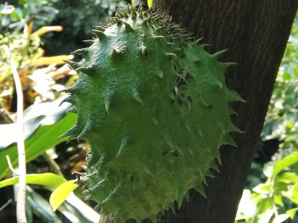 Bijzondere aanpassing aan de leefomgeving