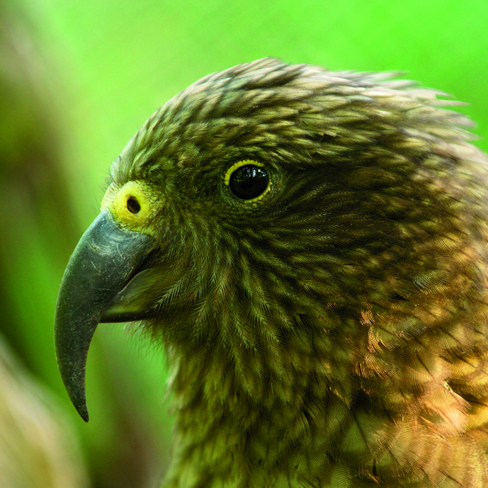 Wisseling van de wacht