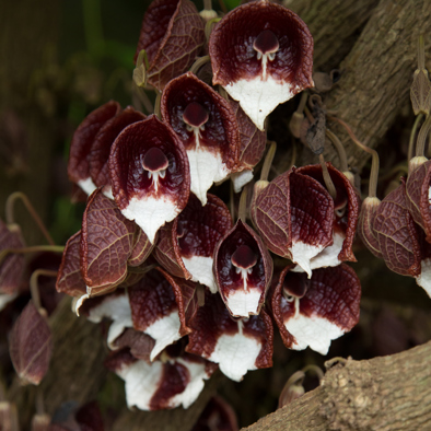 Bedreiging & bescherming