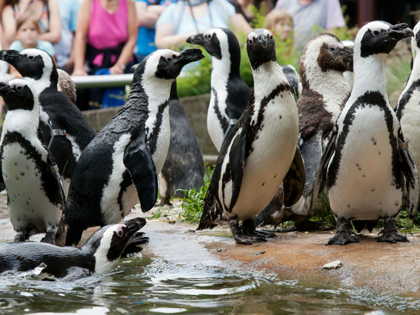 Een bijzonder dagje uit