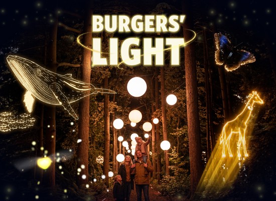 Burgers' Light
