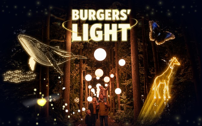 Avontuurlijk vuurvliegje ontsteekt spectaculaire lichtshow in Burgers' Zoo