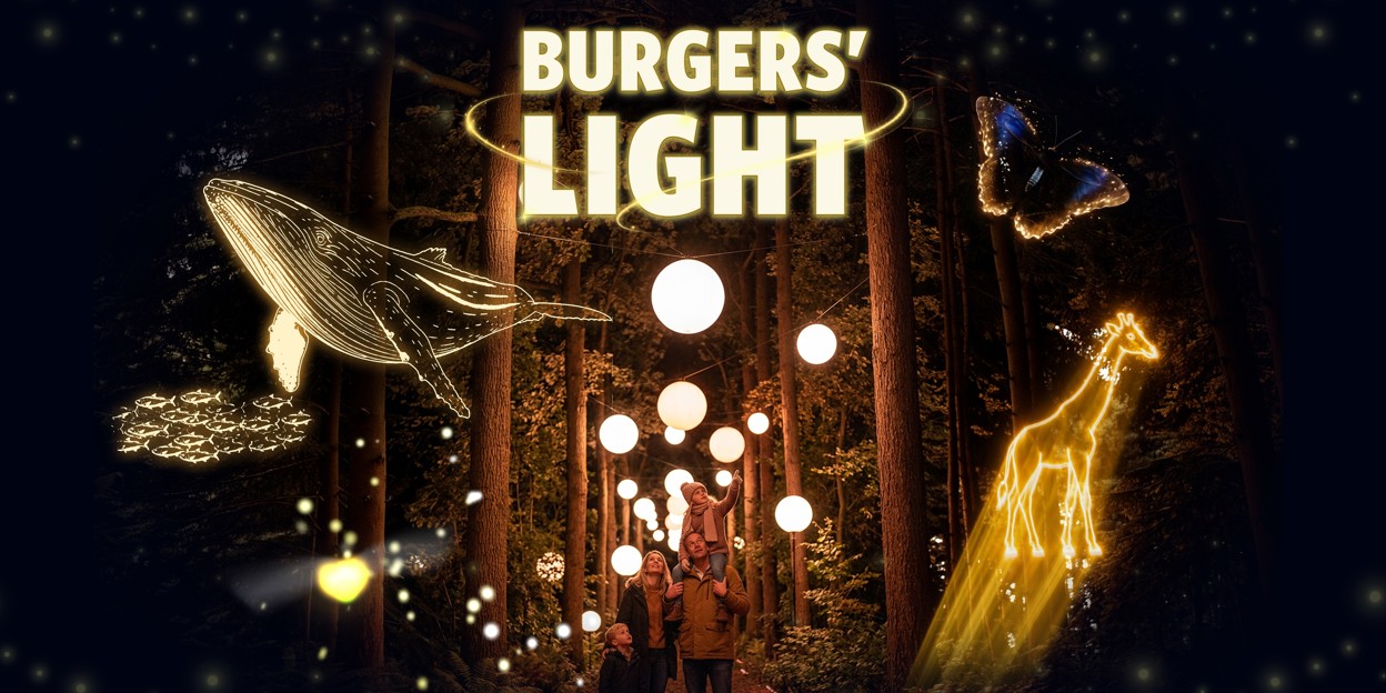 Avontuurlijk vuurvliegje ontsteekt spectaculaire lichtshow in Burgers' Zoo