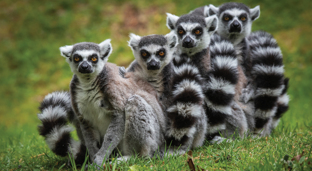 maki-s.jpg