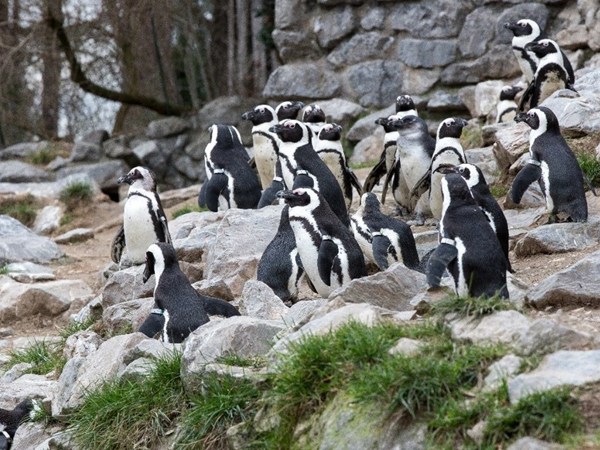 01bdcf6b-f686-41fe-9b19-f6912a00c573