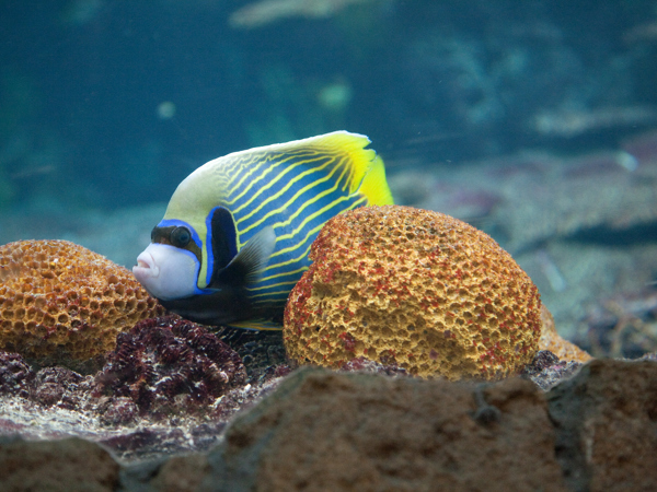 f7087026-2bbd-4d52-be0f-61da5d784e96