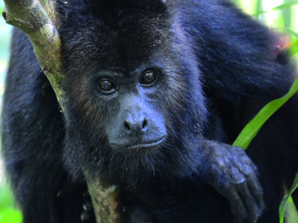 b4b4dc00-d979-47b9-a3ed-21bbf15fb5d3