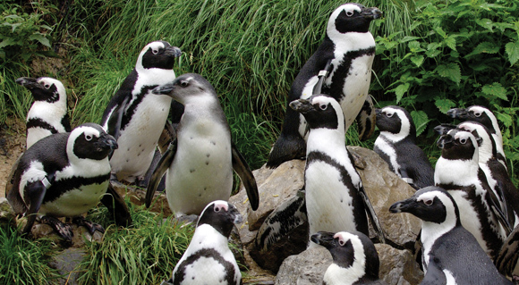Voortgezet onderwijs