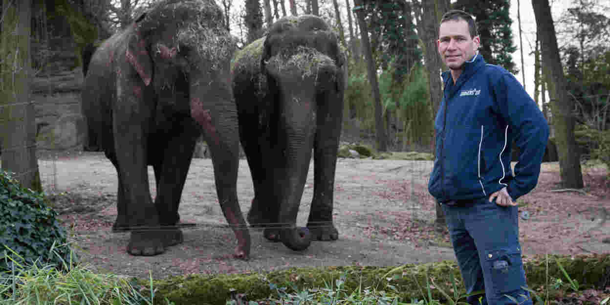 Hoe gaat het nu met olifant Rekka?