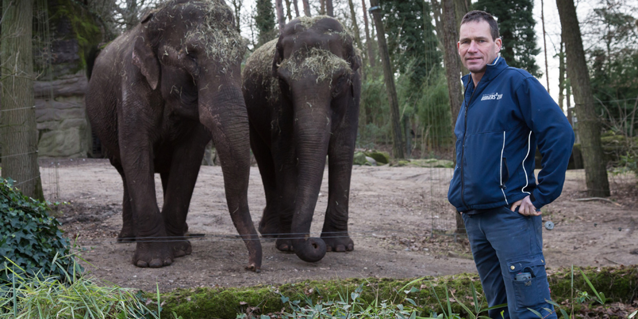 Hoe gaat het nu met olifant Rekka?