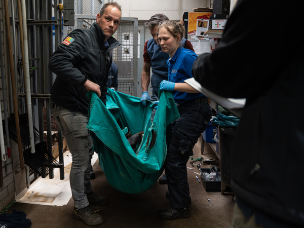 99da3105-32e8-4cb3-9efc-7a149811b58d