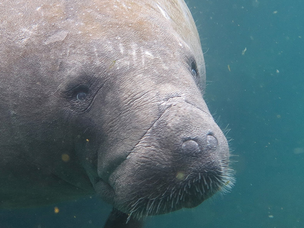 ba5cfa96-c3bb-47a4-aa23-11a084b1ebe4