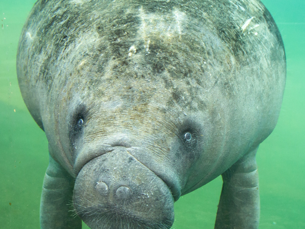 Cadeau entreekaarten 