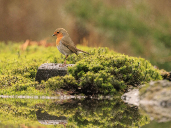 e4241eeb-6ba4-4018-bda7-6c07b76294ad