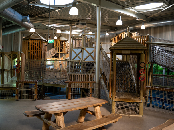 Kids Jungle