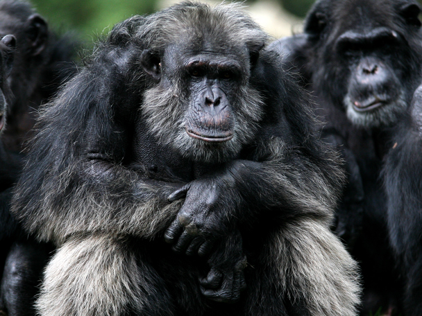 Wetenschappers faciliteren