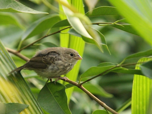 Eén met de natuur