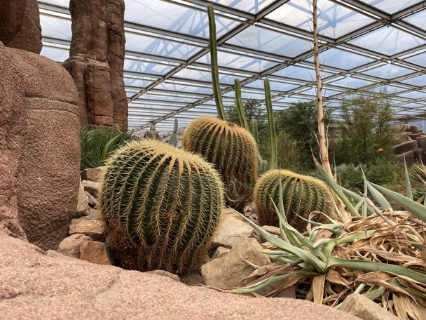 Gebruik door de mens