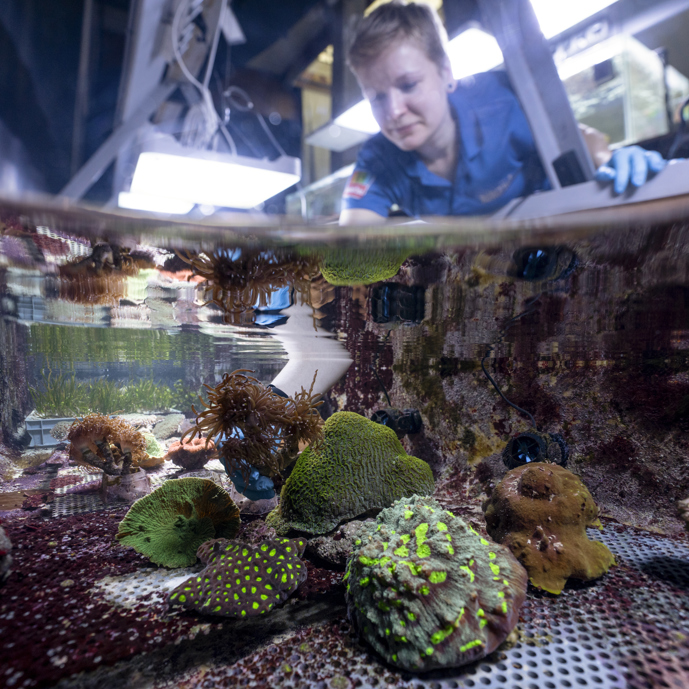 Zoo Duisburg ontvangt Arnhems koraal