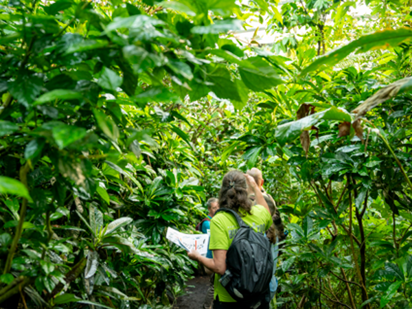 8edde712-c69e-4195-8f13-37a43a207022