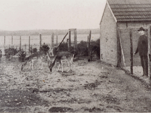 Hoe het begon in 1913