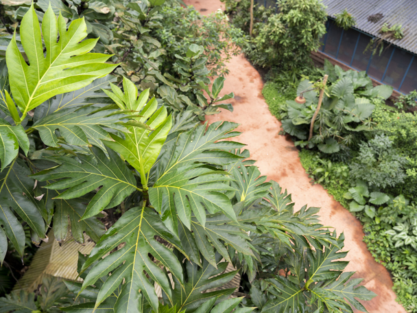 Bijzondere aanpassing aan de leefomgeving