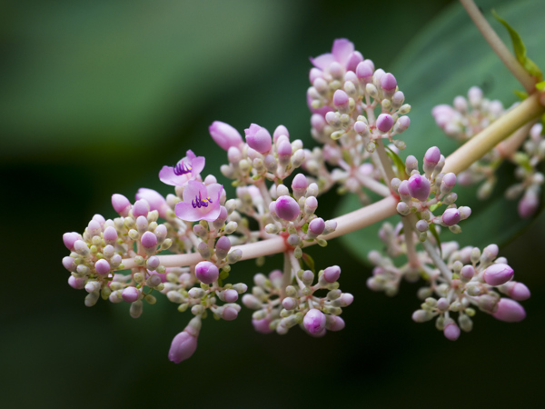 63786f92-0829-4e19-b8f2-79155f293b82