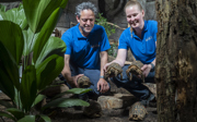 Burgers' Zoo vangt schildpadden op na inbeslagname