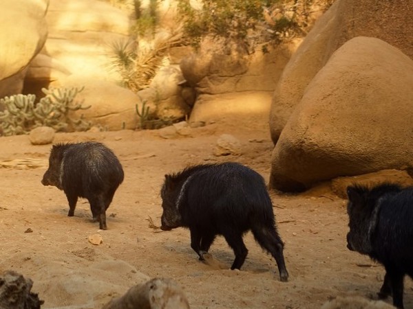 4ac8d53e-c253-4ac6-b0a6-0a9ee9bba9e9