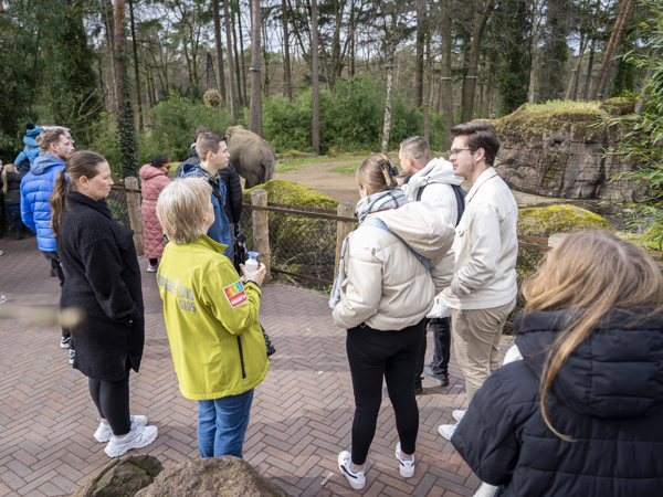 2cc9b8d0-c628-4f4f-a29b-08bba0f95494