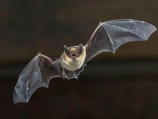 23eceaa0-eb2f-4bf6-922d-62bc1fdf6821