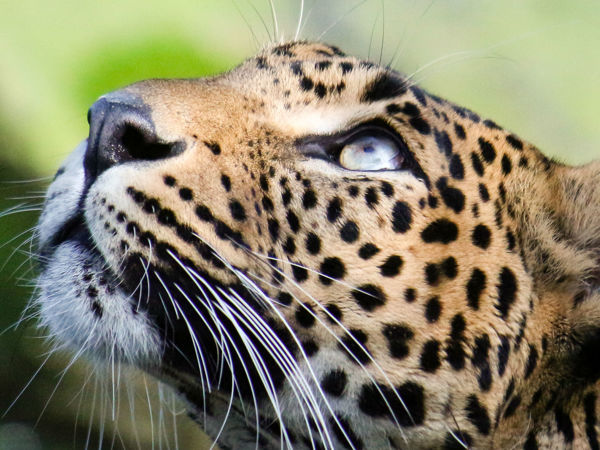 0e0698bf-b6a7-42c3-99bc-d6a6c8657c7a