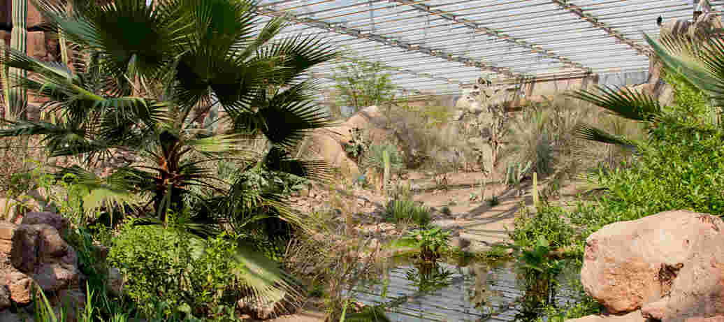 Ontdek de natuur in Burgers' Zoo