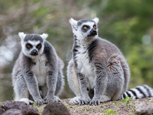 Maatwerk mogelijkheden