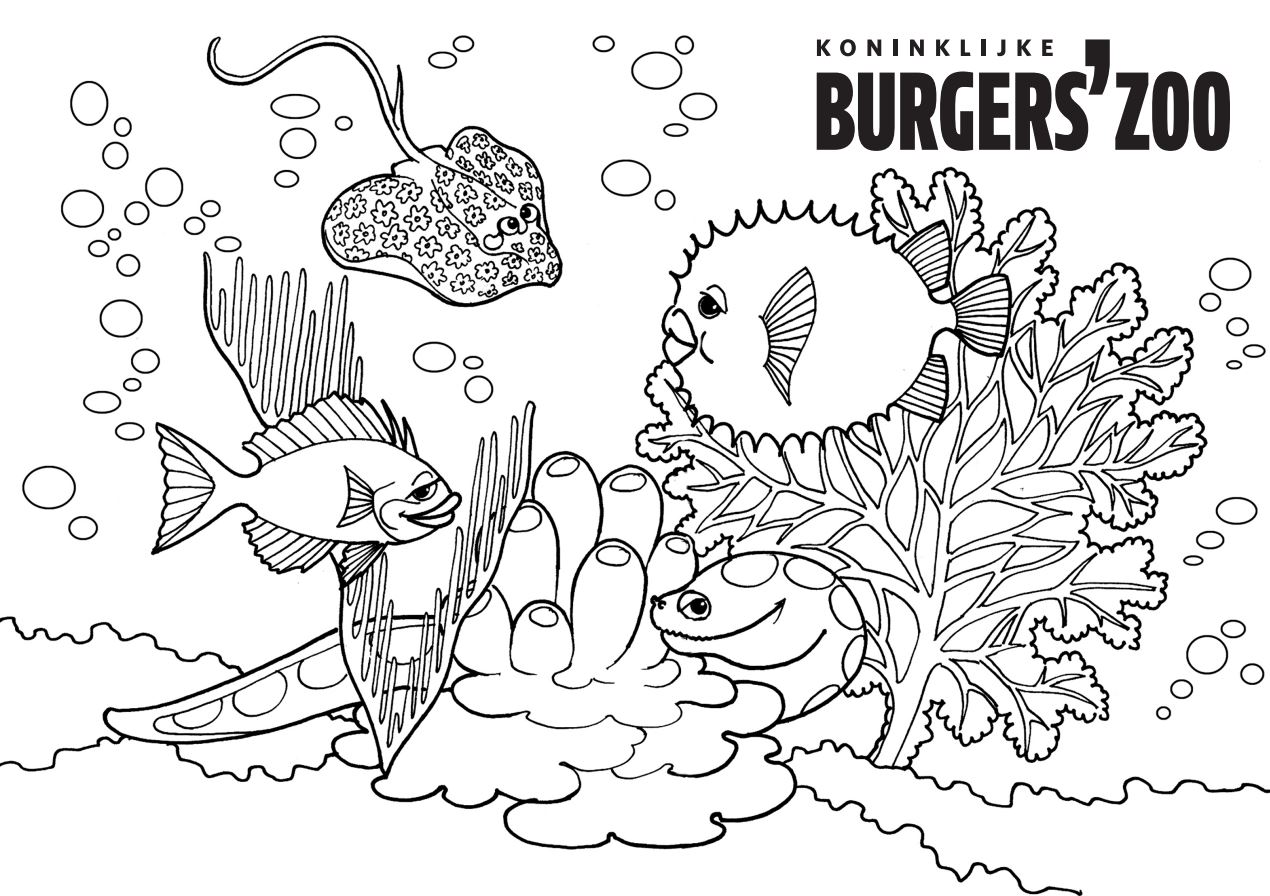 Kleurplaten Burgers Zoo In Arnhem