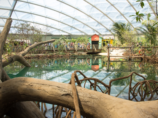 Onderdompeling in leefwereld