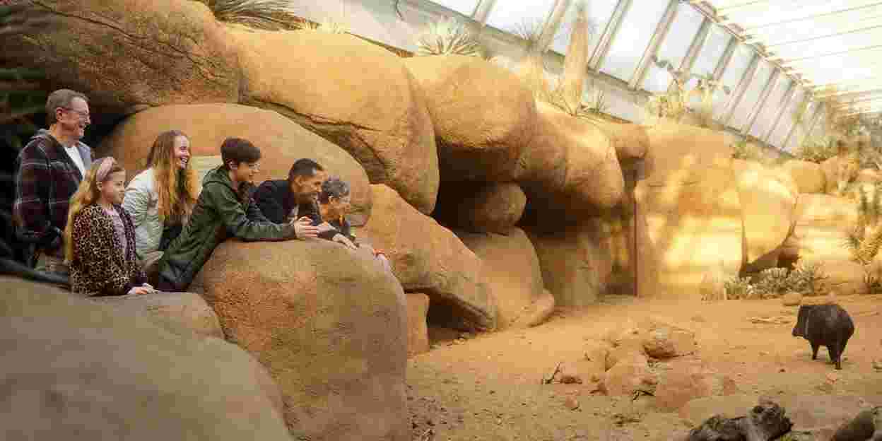 Wat is een ecodisplay? De Desert