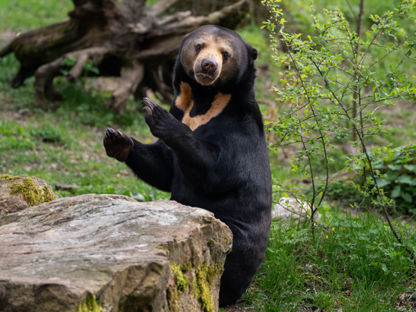 ff36863b-fcc4-4967-ad43-f6cc98d47980