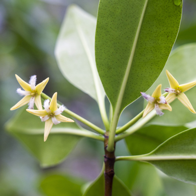 Bedreiging & bescherming