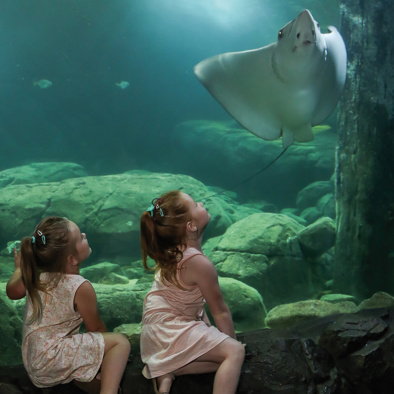 Daal af langs de rifkloof