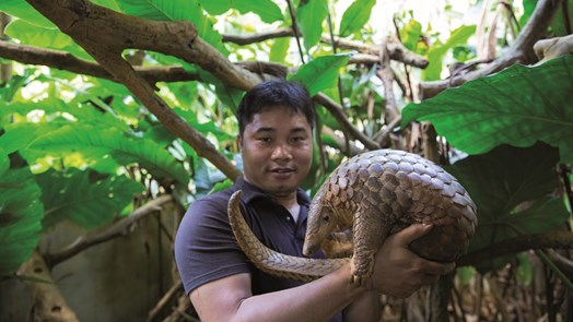 Natuurbehoud: Save Vietnam's Wildlife