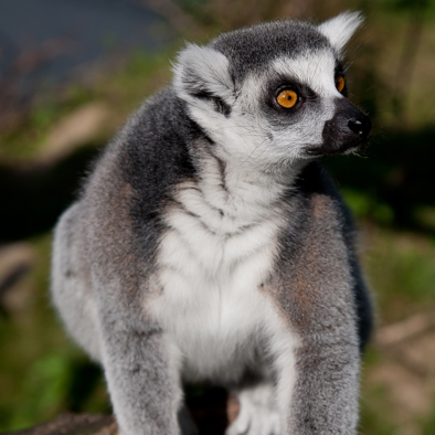  Bedreiging en bescherming