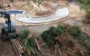 Zorginstelling Bartiméus bewerkt hout Burgers' Zoo